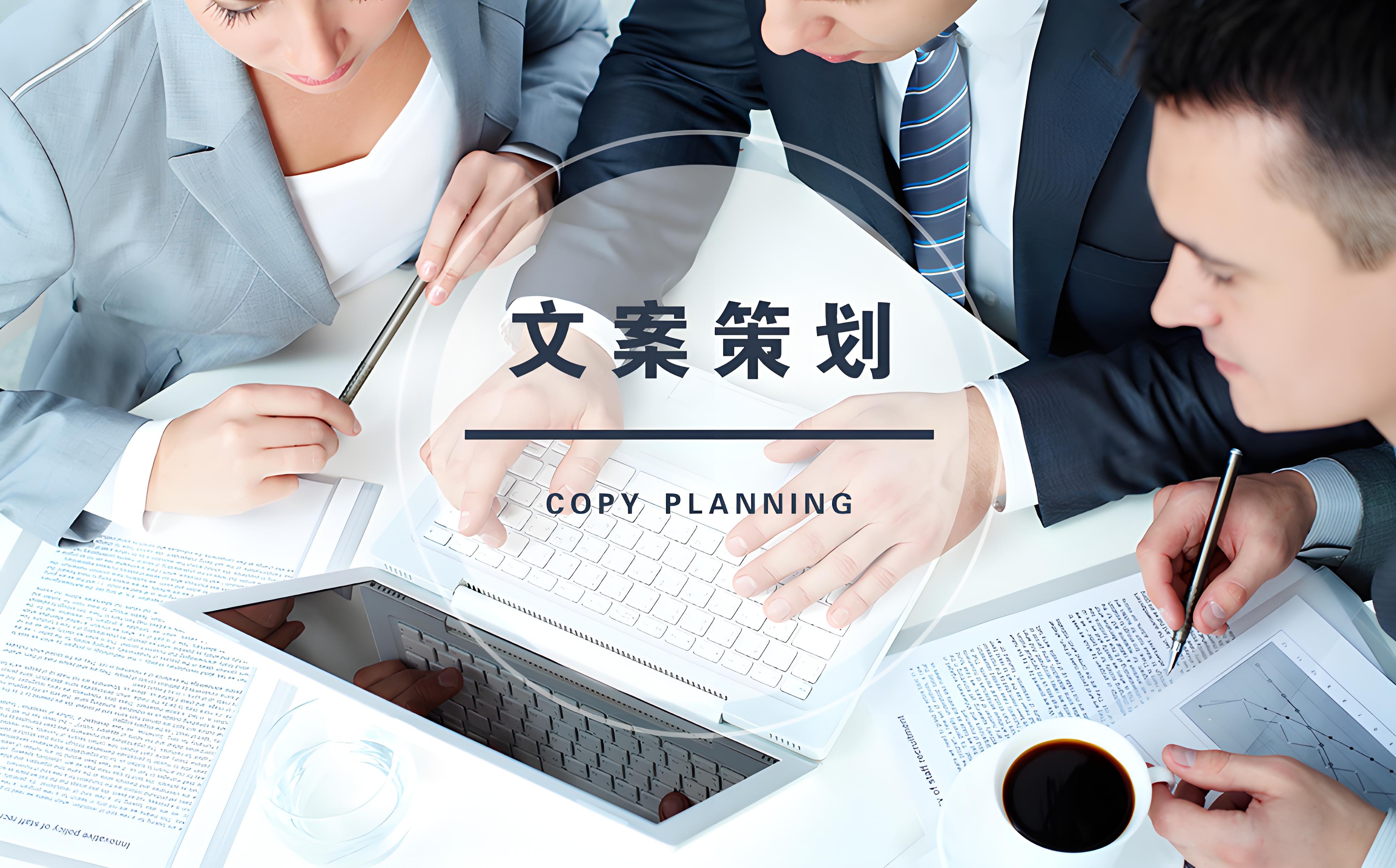 个性化企划文案策划品牌故事商业计划书定制