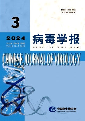 00fd7a1c774591c68aa915d98eb6ab34_BDXB.jpg