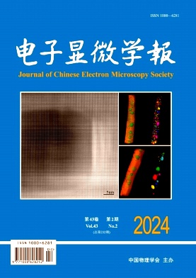e23f1612ca04b0847873352ca64c70ba_DZXV202402.jpg