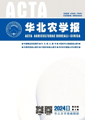 6c6fc475ffd9eff0078dc61d26ada603_HBNB.jpg