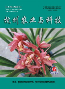 0ce4a828b50350fd9f5c4eb9adfcaa96_a506_11fb2.jpg_230x315.jpg