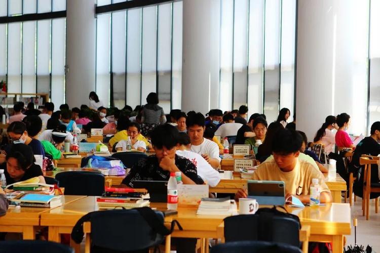 从独著到主编：探索学术出版中的创作者与编辑者身份