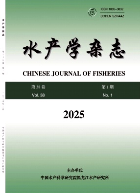 c0340fe09fe1e5fd036e6852d5223767_SCXZ.jpg