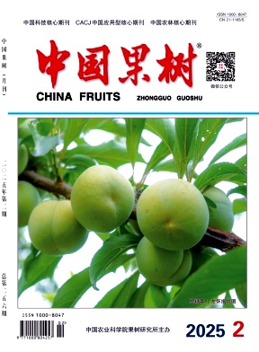 f49f1a874e44d83f80ee258516bcce97_zggs.jpg