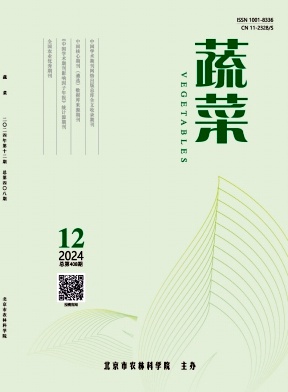 788a60caa2942bd94e67aee96494c417_sczz.jpg