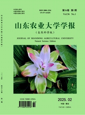 b537aca70c3474fd86acfc1502cdd778_scho.jpg
