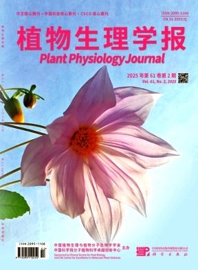 e1f066de66ab2d72c45c19732e372cd7_zwsl.jpg