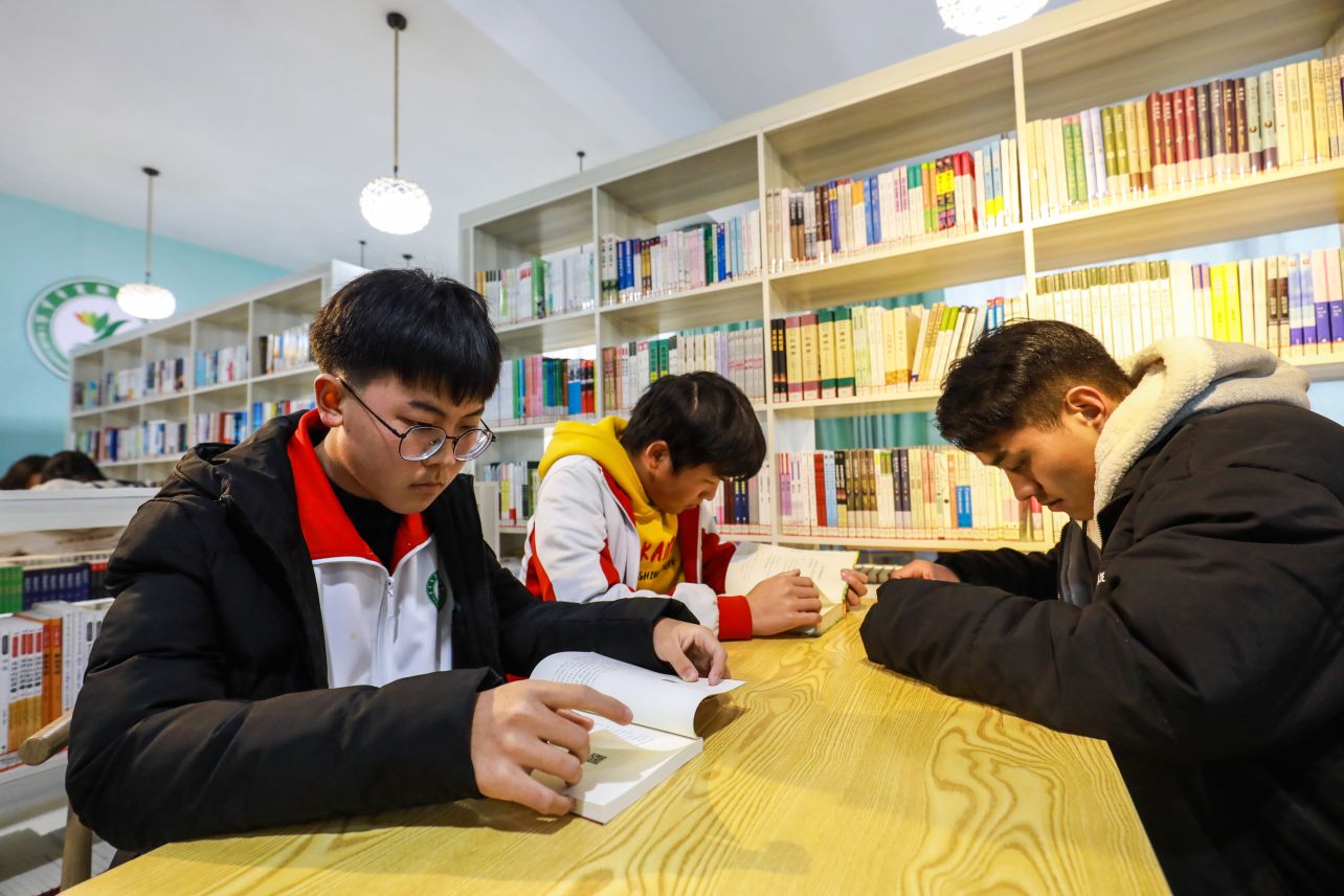 木材加工人工林经营《桉树科技》期刊：投稿发表论文栏目及要求