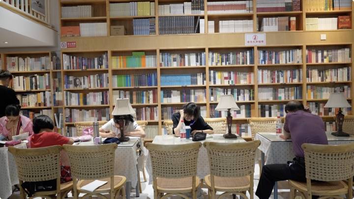 植保森防花卉木材旅游绿化《热带林业》期刊：发表论文栏目及要求