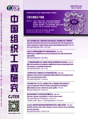 c88b2c772c1c97e98c0e223e753cf0a3_xdkf.jpg