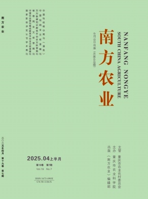 cb144e074eb06aa1a4c0a1c891611e16_nfny202507.jpg
