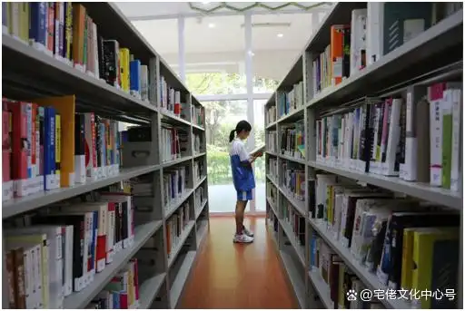 组织创业营销人物企业政策《浙商研究》集刊