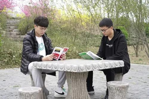 畜牧兽医师职称晋升全攻略:专利申请办理、论文发表投稿与著作出版出书一站式指南