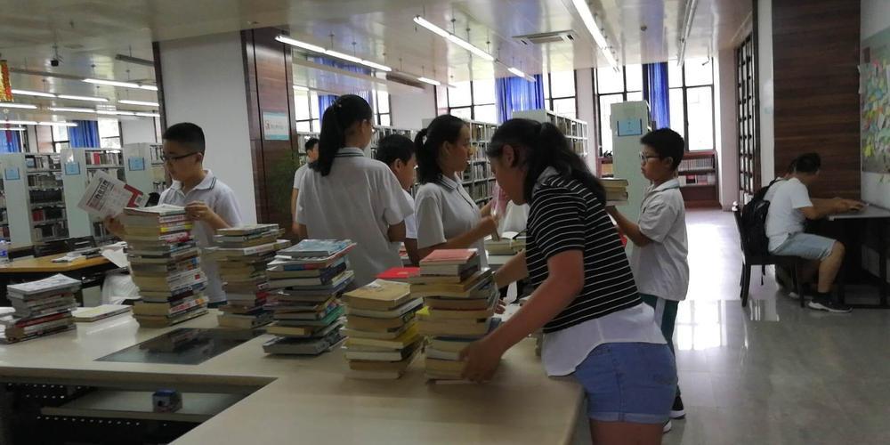 【职称评定全攻略】:评职称需注意的要点与步骤详解