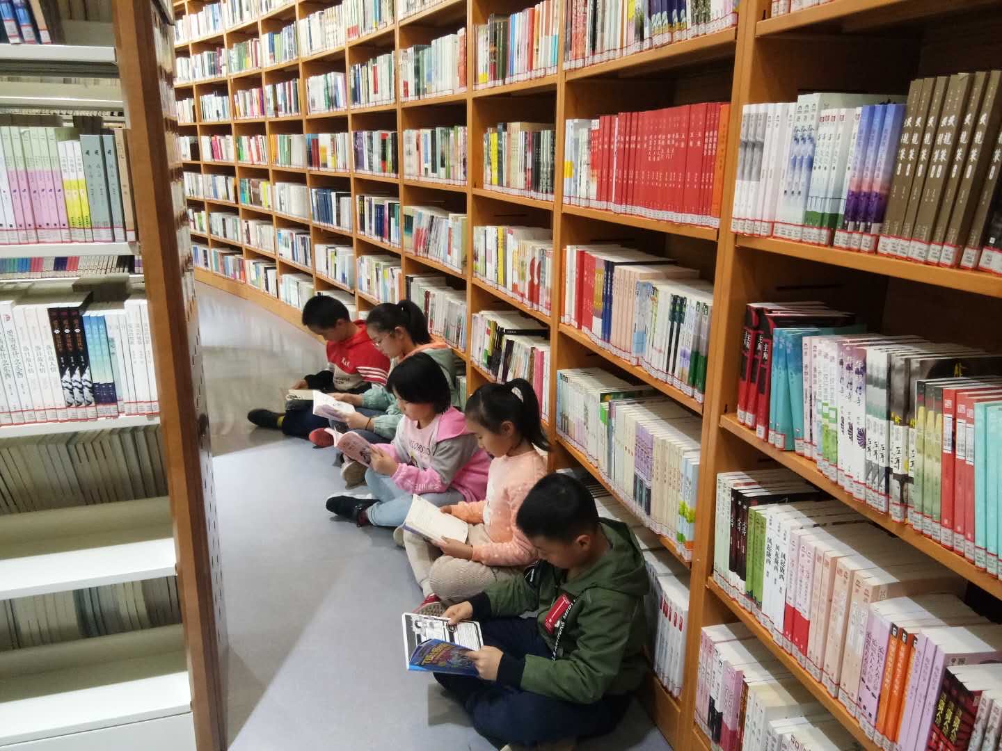 商业贸易、市场营销、电子商务、供应链管理