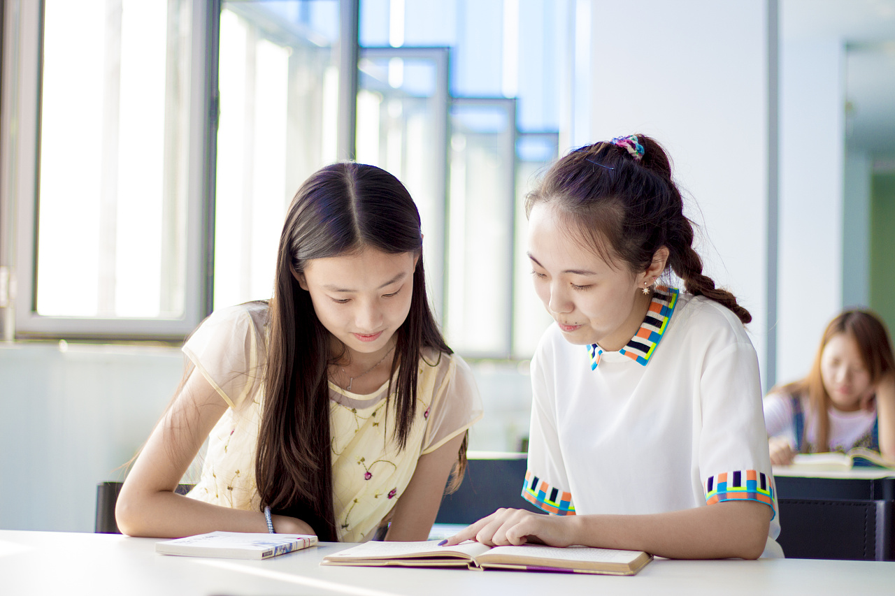 艺术心理学政治素质教育教学《情感读本》期