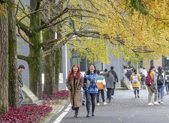 省级理论教改课改课堂教学案例德育幼教美育